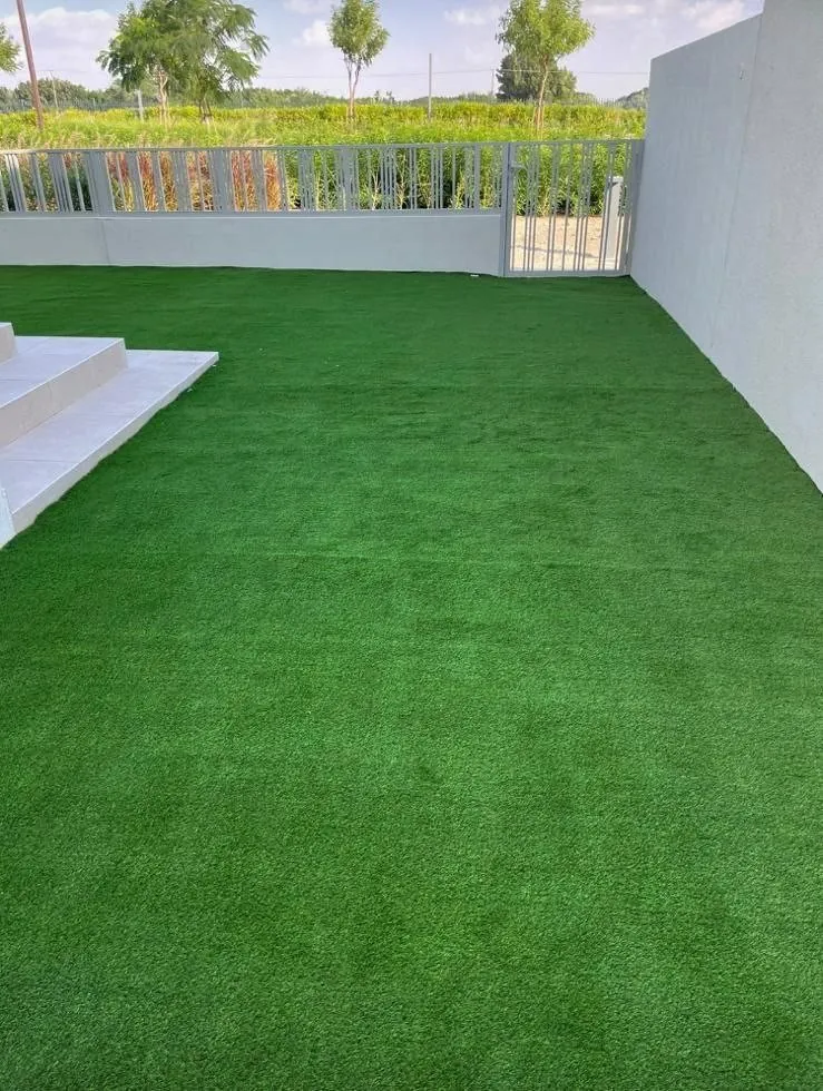 Grass Carpet