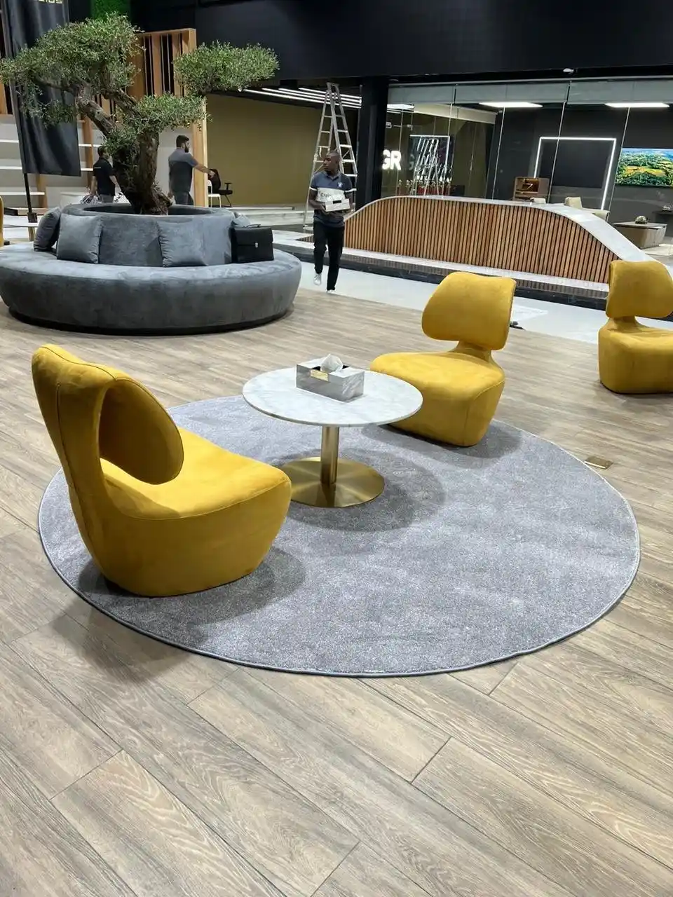 Carpet Rugs
