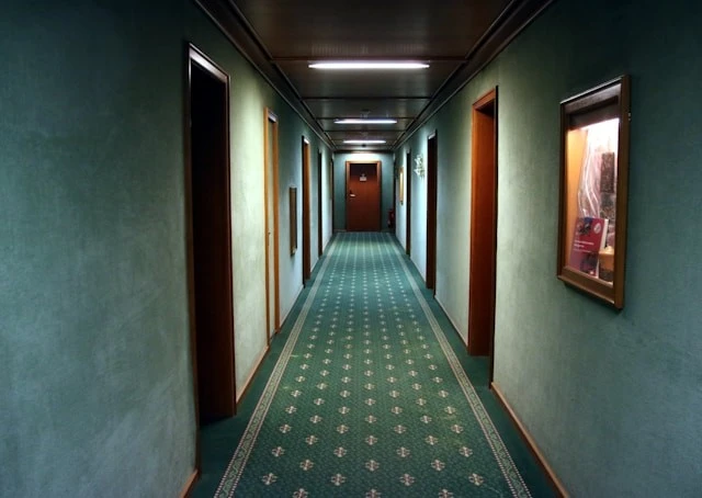 Modern Carpet